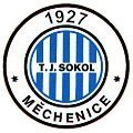 Tělovýchovná jednota SOKOL Měchenice, z. s.