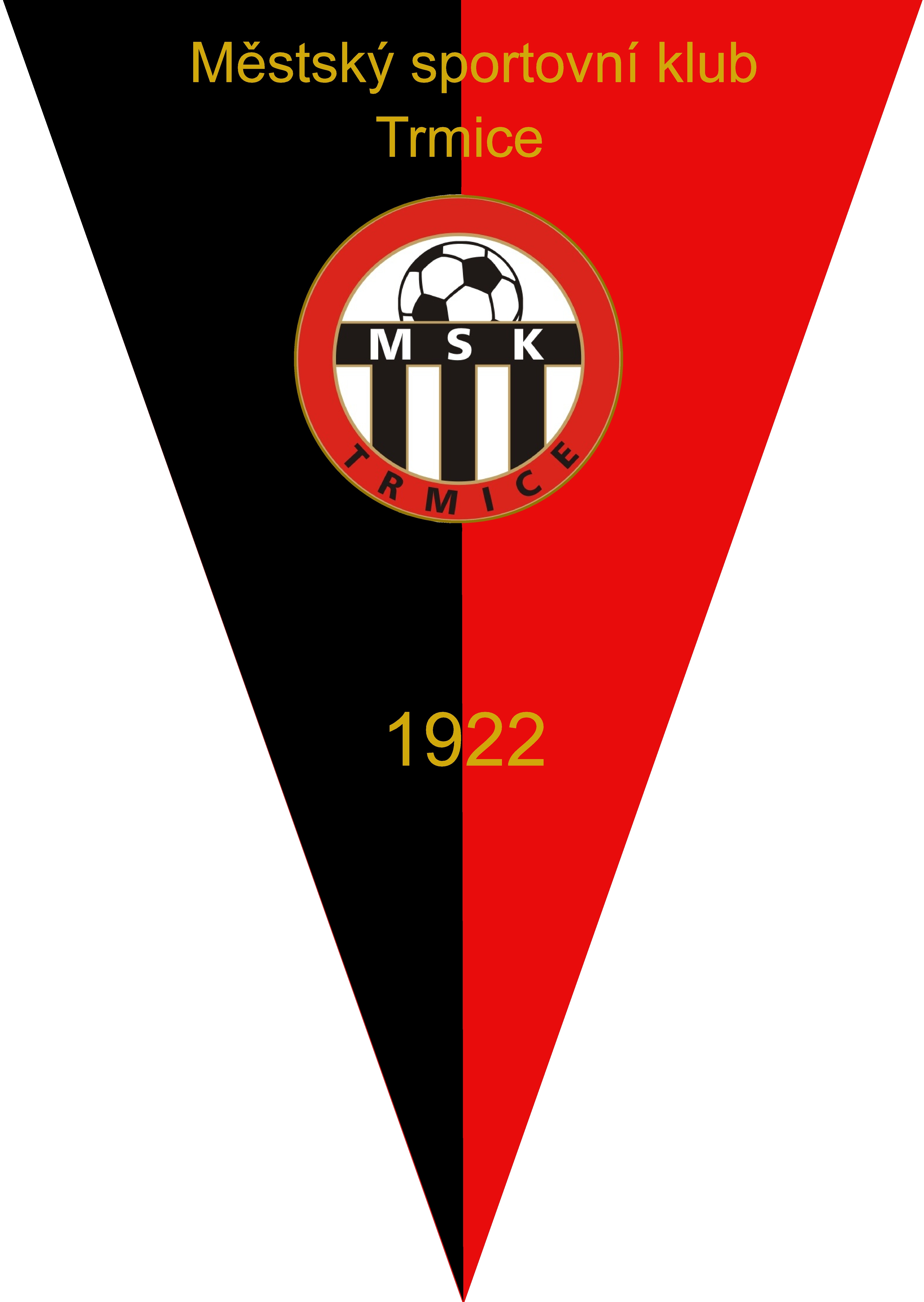 Městský sportovní klub Trmice