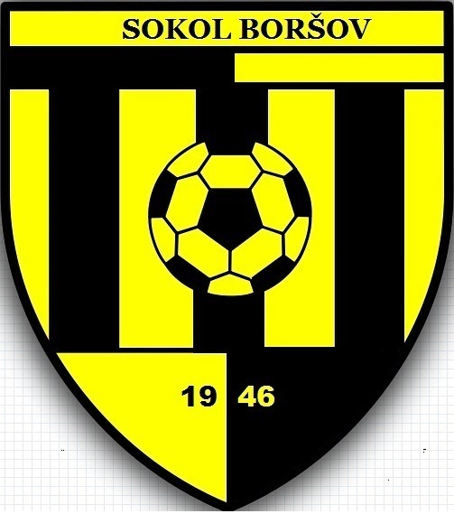 Tělovýchovná jednota Sokol Boršov, z.s.