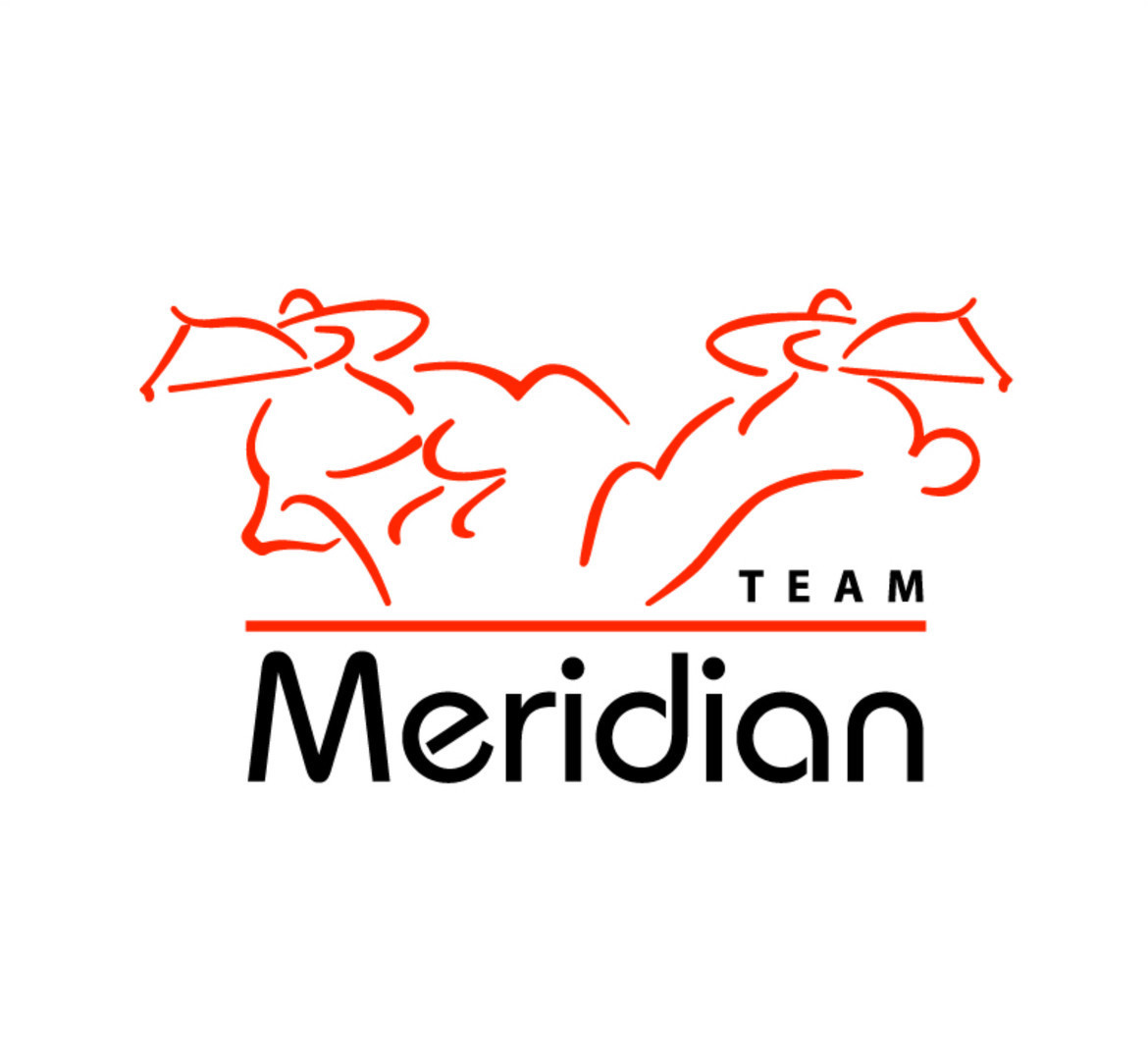 MERIDIAN TEAM z.s.