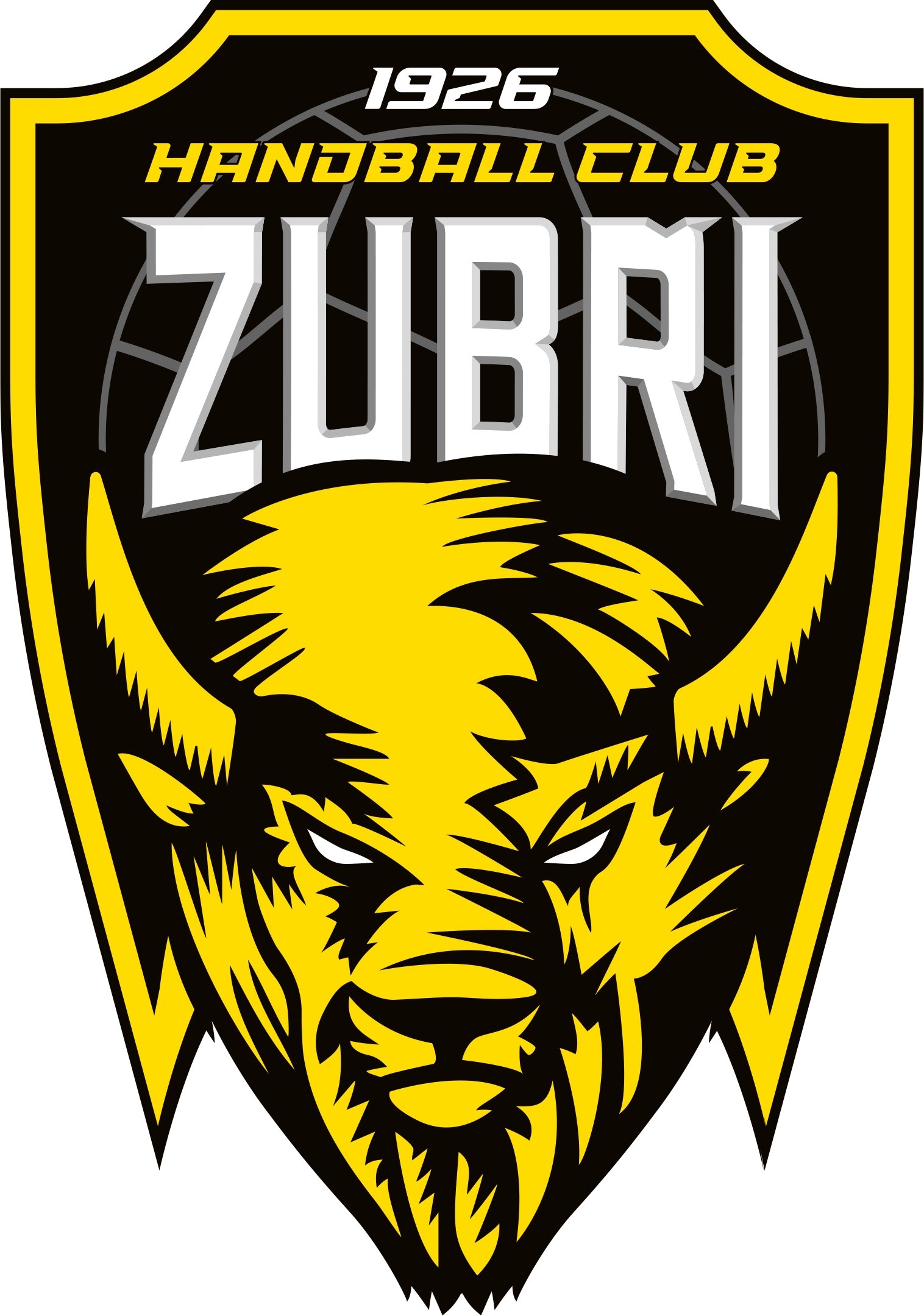 Handball club Zubří z. s.
