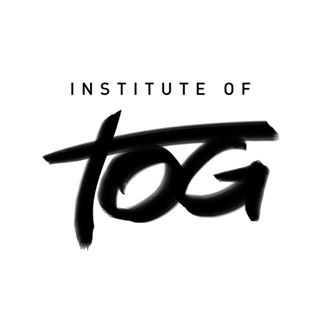 Institute of TOG z. s.