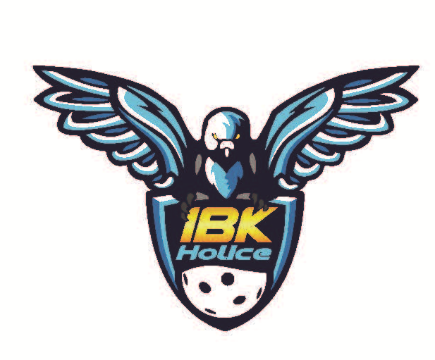 IBK Holice, z.s.