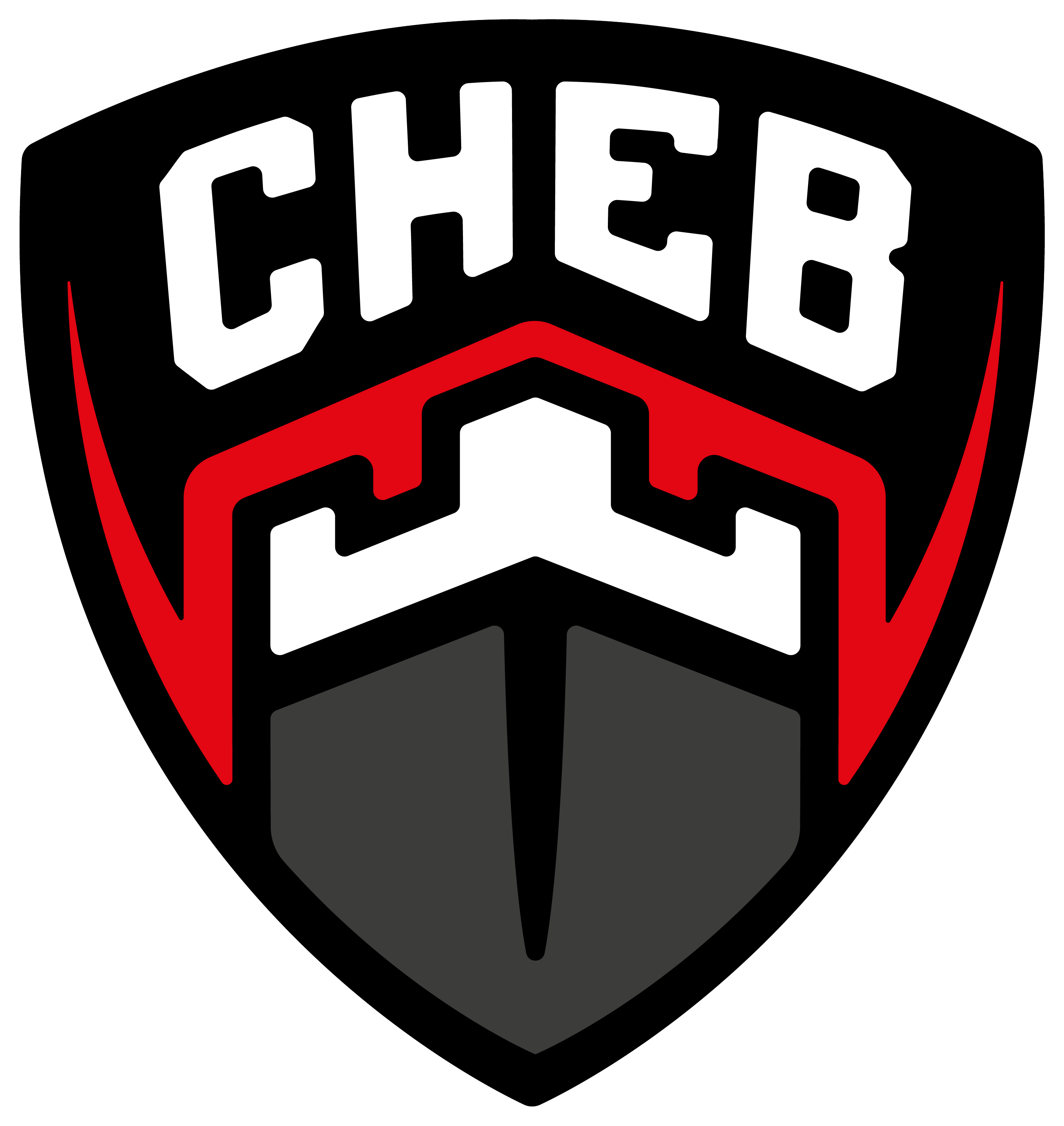 SC Florbal Cheb z.s.